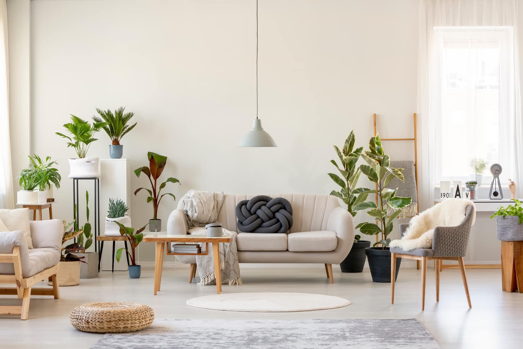 Bright living room with a beige sofa, wooden coffee table, grey armchair and many green plants against a pale wall